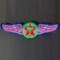 Texaco Wings 5' Neon Sign