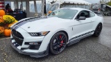 2020 Ford Mustang Shelby GT500