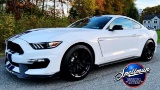 2016 Shelby GT350