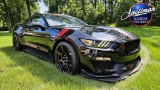 2016 Mustang GT350R