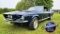 1967 Shelby GT500