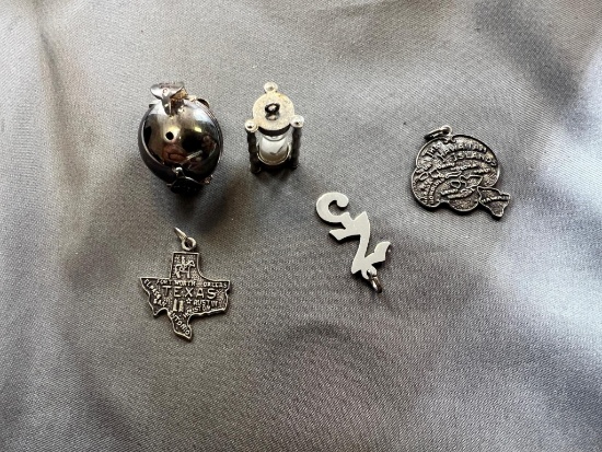 Asst. Sterling Charms