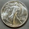 1987 US Silver Eagle Dollar Coin, .999 Fine Silver