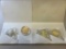 4- American Mint Collector's Tokens, various designs