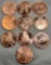 10- One Ounce Copper Rounds, sells times the money