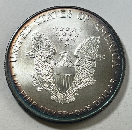 KEY DATE 1996 US Silver Eagle Dollar Coin, .999 Fine Silver