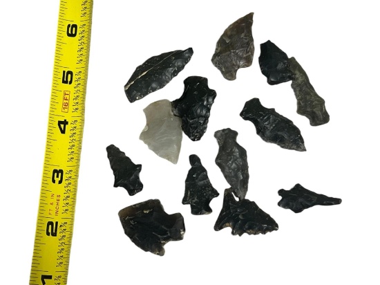 Arrowheads Birdpoints 13 total from Tennessee made from Knox material largest 1 3/4"