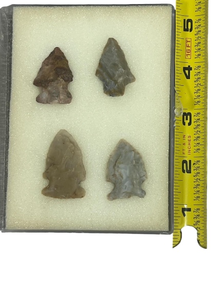 Arrowheads Flintridge Birdpoints Licking Co. Ohio Largest 1 1/2"
