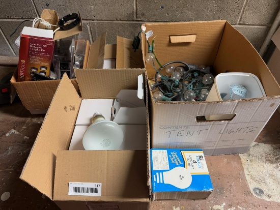 2 Boxes Flood Light Bulbs, Misc Bulbs, 1 strand of decorative lights