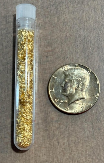 40% Silver Kennedy Half Dollar and vial of gold flake