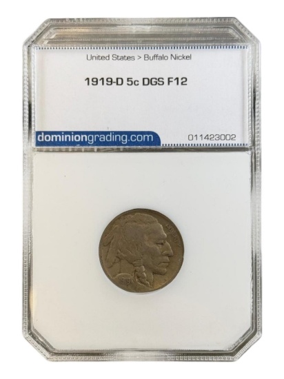 1919-D Buffalo Nickel in Dominion Grading F12 Holder
