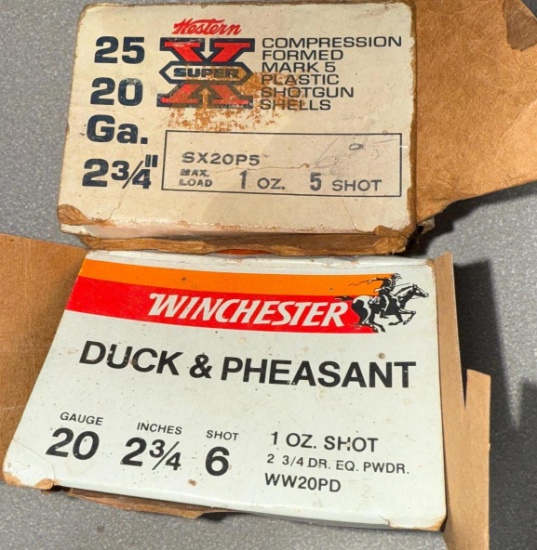Approx 30 rounds of 20 gauge shotgun ammo