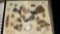 Diverse Rock and Mineral Collection, Approx. 20-30 Specimens, Display Case Included