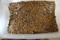 25+ Pounds of Wheat Cents, several Steel and Indianheads noticed in pics