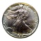 1989 United States Silver Eagle Coin, 1 oz .999 Fine Silver