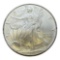 2007 Unites States Silver Eagle Coin, 1 oz .999 Fine Silver