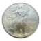 2009 Unites States Silver Eagle Coin, 1 oz .999 Fine Silver