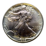 1989 United States Silver Eagle Coin, 1 oz .999 Fine Silver