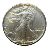 1991 United States Silver Eagle Coin, 1 oz .999 Fine Silver