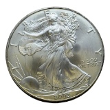 2002 Unites States Silver Eagle Coin, 1 oz .999 Fine Silver