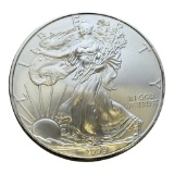 2009 Unites States Silver Eagle Coin, 1 oz .999 Fine Silver