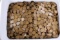 25+ Pounds of Wheat Cents