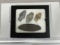 Arrowheads & Artifacts - Frame Licking Co Oh 3 Adena points & undrilled Gorget largest 2