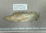 Arrowheads and Artifacts - Etley Point 4 3/4