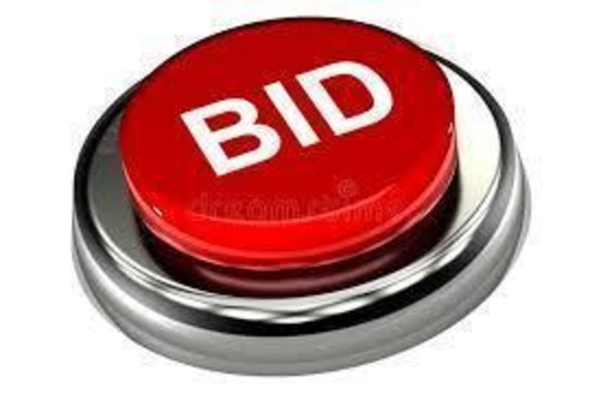 BID BUTTON TEST YOUR BID