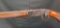 Savage Model 29 .22 S-L LR