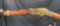 Henry Golden Boy .22 LR