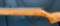 Marlin Model 25N .22 LR