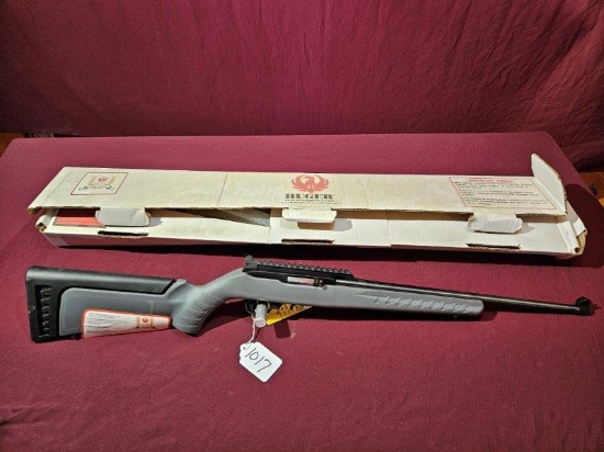 Ruger; 10 22; 22LR