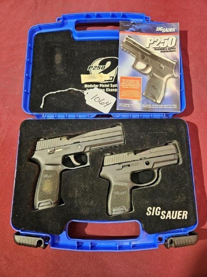 Sig Sauer; P-250; 9mm Para Handgun