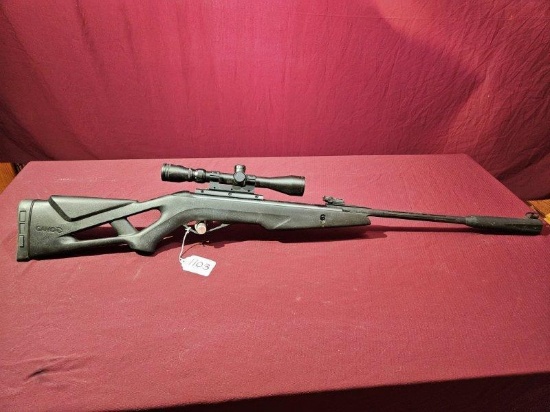Gamo; Silent Stalker; 22 cal