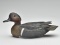 Greenwing teal drake, Jim Schmiedlin, Bradfordwoods, Pennsylvania.