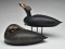 Pair of scoter, Keith Mueller, Killingworth, Connecticut.