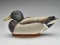 Mallard drake, Jimmie Vizier, Galiano, Louisiana.