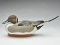 Excellent pintail drake, Jimmie Vizier, Galiano, Louisiana.