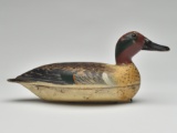 Rare green wing teal drake, Robert Elliston, Bureau, Illinois, last quarter 19th century.