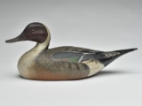 Gracefully carved pintail drake, Elmer Crowell, East Harwich, Massachusetts, circa late 1920s.