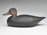 Black duck, Elmer Crowell, East Harwich, Massachusetts, circa 1910.