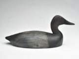 Canvasback drake, Tom Chambers, Toronto, Ontario, 1st quarter 20th century.