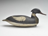 Merganser drake, Levi Rhodes Truex, Absecon, New Jersey, last quarter 19th century.