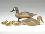 Bluewing teal hen, drake, and four ducklings, Harold Haertel, Dundee, Illinois.