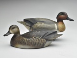 Excellent pair of greenwing teal, Jim Schmiedlin, Bradfordwoods, Pennsylvania.