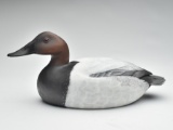 Canvasback drake, Jim Schmiedlin, Bradfordwoods, Pennsylvania.