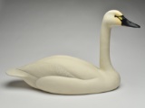 Important full-size whistling swan, Oliver Lawson, Crisfield, Maryland.