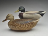 Gunning rigmate pair of mallards, Delbert 