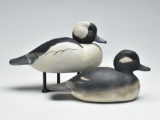Pair of buffleheads, Delbert 